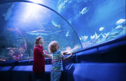 Zoos and Aquariums: Balancing Conservation Goals With Everyday Checkout Needs